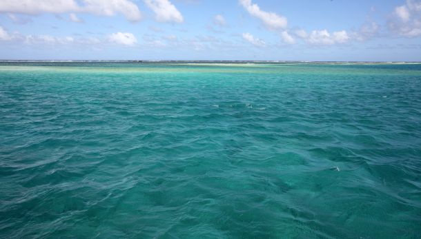 Cairns meeting reveals “smoke and mirrors”